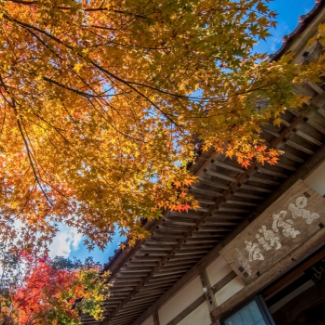 フォトコンテスト