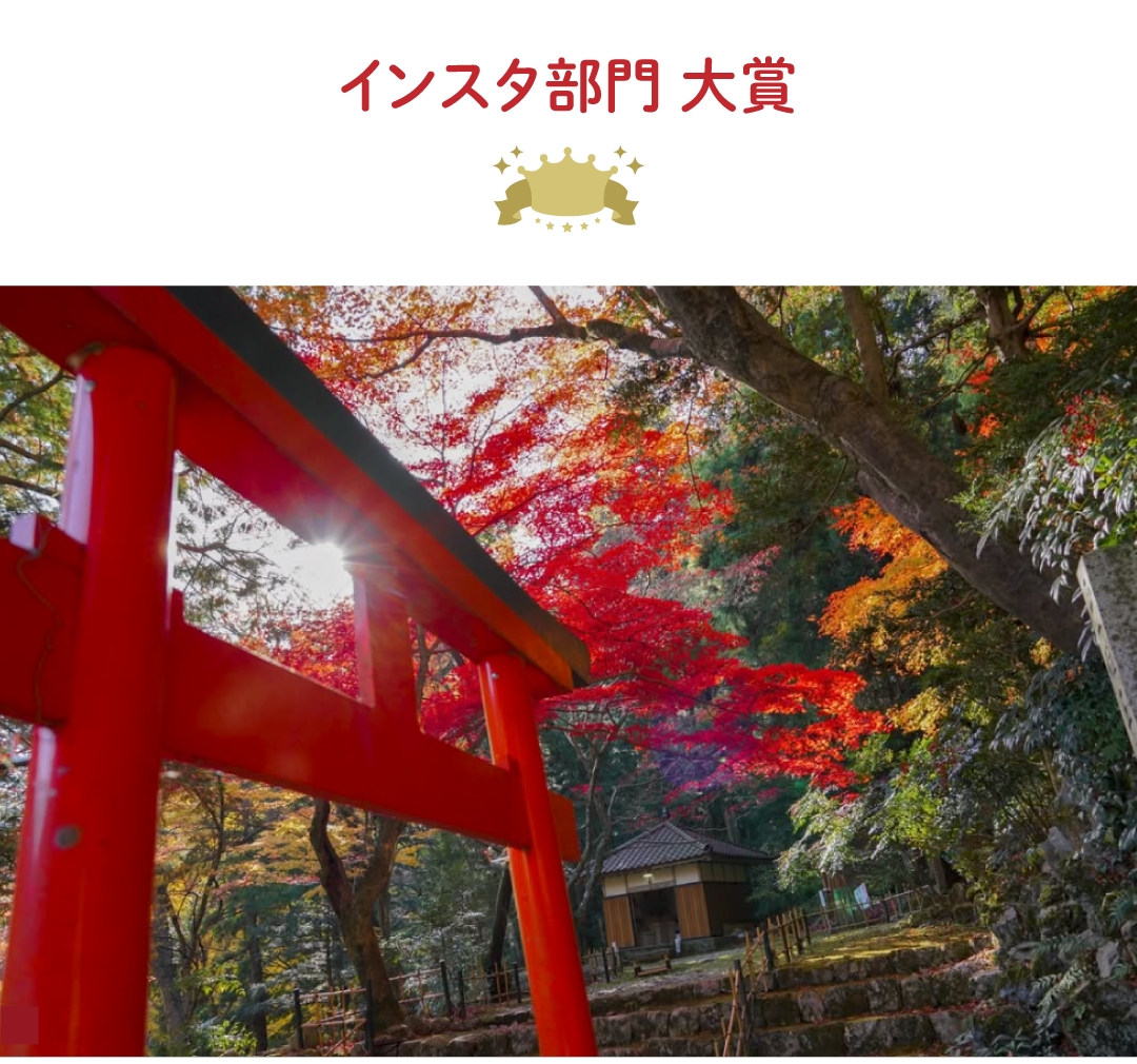 インスタ部門 大賞