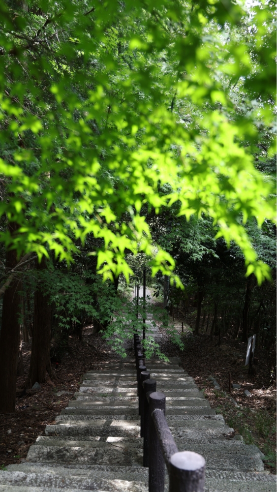 フォトコンテスト2025かえで賞