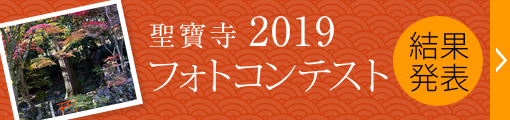 フォトコンテスト2019結果発表