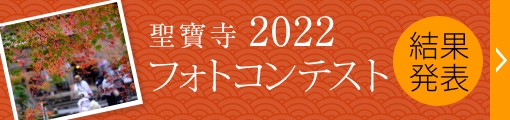 フォトコンテスト2022