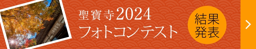 フォトコンテスト2024