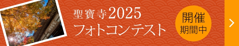 フォトコンテスト2025開催期間中