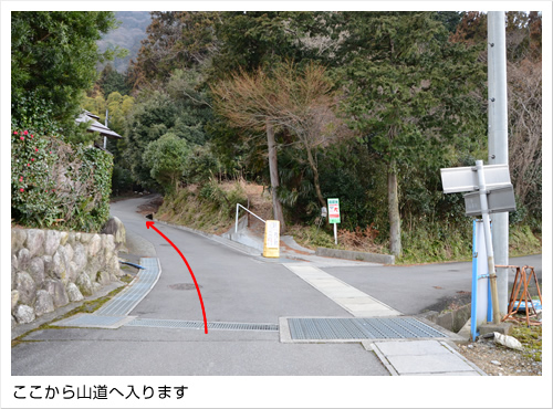 ここから山道へ入ります