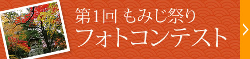 フォトコンテスト