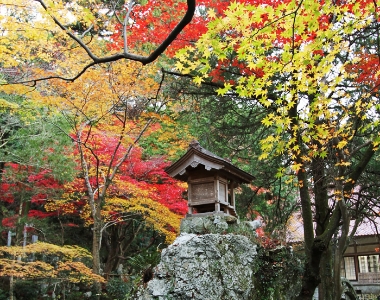 大自然と美しい庭園