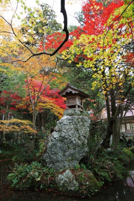 もみじ祭り紅葉