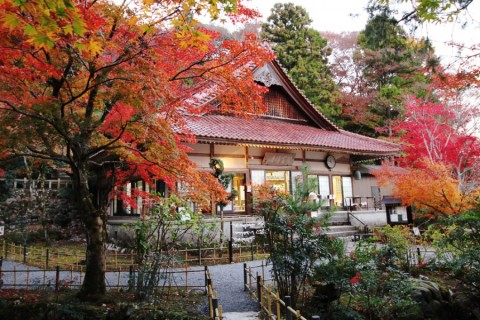 もみじ祭り紅葉