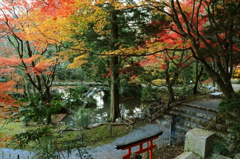 もみじ祭り聖宝寺庭園