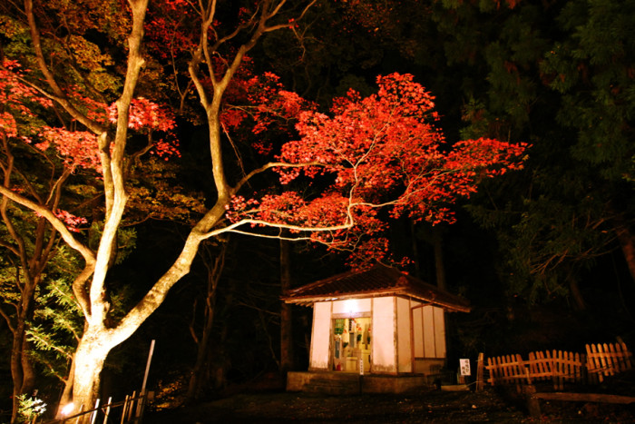 lightup2