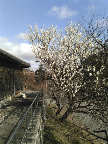 KIMG0228
